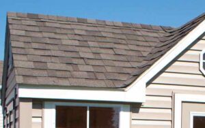ar shingles closeup